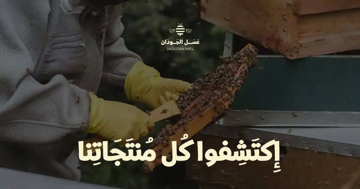 المتجر - إكتشوا كل ما نقدمه في متجرنا